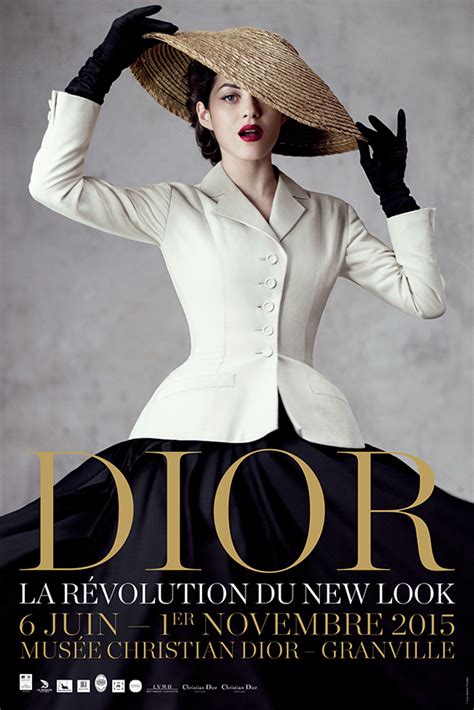 campagna pubblicitaria dior|Dior New Look .